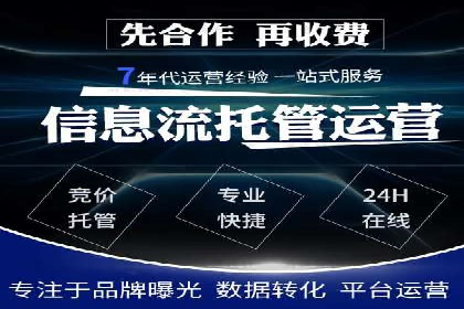 SEM搜索引擎优化成功案例，揭示优化策略与技巧